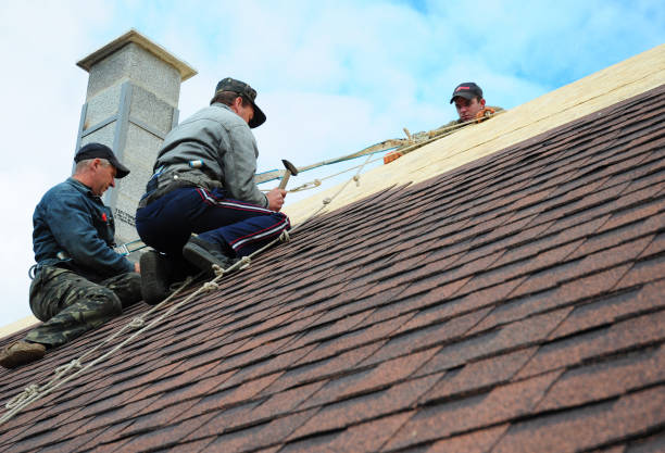 Best Storm Damage Roof Repair  in Newfield, NJ